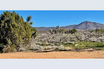 21422 S Appaloosa Road, Yucca, AZ 86438 - Photo 59