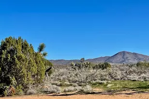 21422 S Appaloosa Rd, Yucca, AZ 86438 - Photo 59