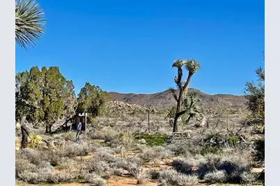 21422 S Appaloosa Road, Yucca, AZ 86438 - Photo 61