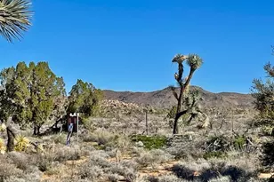 21422 S Appaloosa Rd, Yucca, AZ 86438 - Photo 61