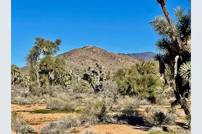 21422 S Appaloosa Road, Yucca, AZ 86438 - Photo 63