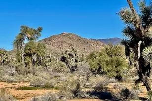 21422 S Appaloosa Rd, Yucca, AZ 86438 - Photo 63