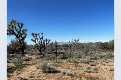 21422 S Appaloosa Road, Yucca, AZ 86438 - Photo 69