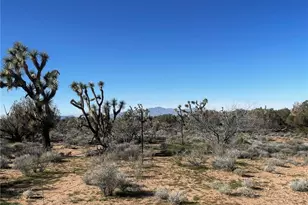 21422 S Appaloosa Rd, Yucca, AZ 86438 - Photo 69