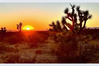 223-30-009 S Sundance Kid Road, Yucca, AZ 86438 - Photo 5