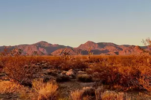 223-30-009 S Sundance Kid Rd, Yucca, AZ 86438 - Photo 1