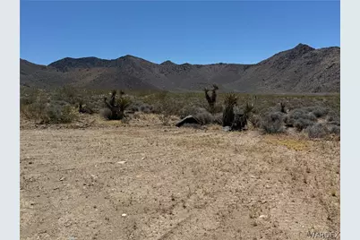 316-05-033 June Road, Dolan Springs, AZ 86441 - Photo 3