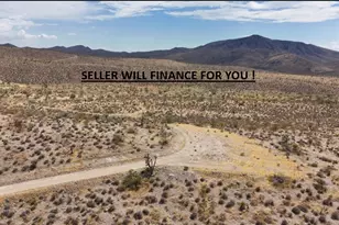 329-02-032 40 Acres, White Hills, AZ 86445 - Photo 1