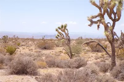 8593 W Michaley Drive, White Hills, AZ 86445 - Photo 25
