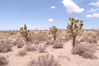 8593 W Michaley Drive, White Hills, AZ 86445 - Photo 27