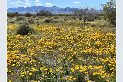 339-34-015 N Truman Road, Golden Valley, AZ 86413 - Photo 31