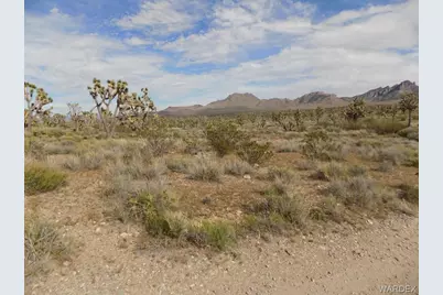 18144 Longhorn Drive, Dolan Springs, AZ 86441 - Photo 5