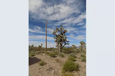 18144 Longhorn Drive, Dolan Springs, AZ 86441 - Photo 7