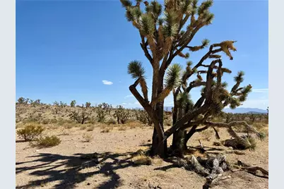 327-05-019 Merry, Dolan Springs, AZ 86441 - Photo 1