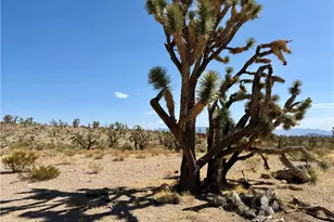 327-05-019 Merry, Dolan Springs, AZ 86441 - Photo 1