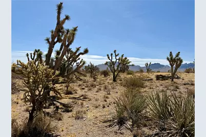 327-05-019 Merry, Dolan Springs, AZ 86441 - Photo 13