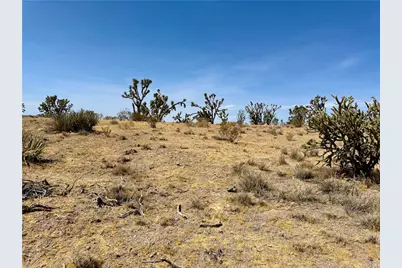 327-05-019 Merry, Dolan Springs, AZ 86441 - Photo 15
