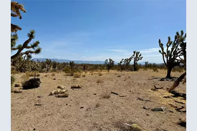327-05-019 Merry, Dolan Springs, AZ 86441 - Photo 3