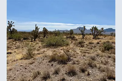 327-05-019 Merry, Dolan Springs, AZ 86441 - Photo 9
