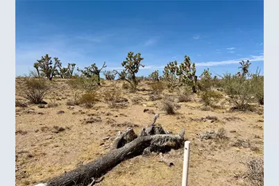 327-05-019 Merry, Dolan Springs, AZ 86441 - Photo 17