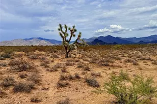 243-10-011 S Alamo Rd, Yucca, AZ 86438 - Photo 1