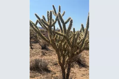340-16-056 Turquoise, Dolan Springs, AZ 86441 - Photo 1