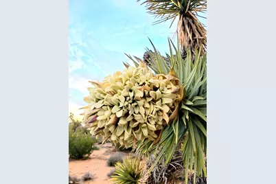 4811 E Sierra Pinta Road, Yucca, AZ 86438 - Photo 83