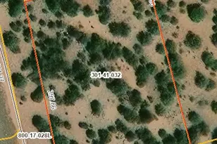 55719 N Cabra Ln, Seligman, AZ 86337 - Photo 1