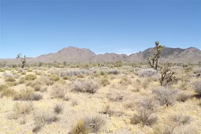 17416 N Orchid Drive, Dolan Springs, AZ 86441 - Photo 7