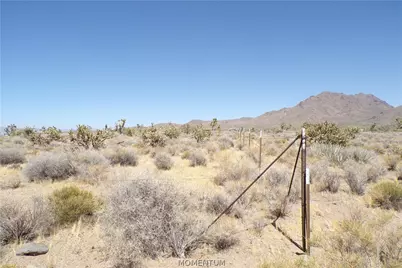 17416 N Orchid Drive, Dolan Springs, AZ 86441 - Photo 3