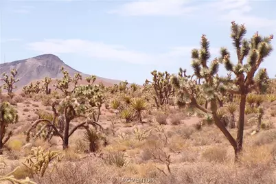 337-19-006 White Hills, White Hills, AZ 86445 - Photo 25