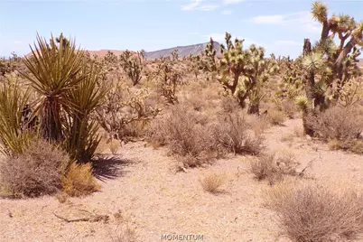 337-19-006 White Hills, White Hills, AZ 86445 - Photo 21