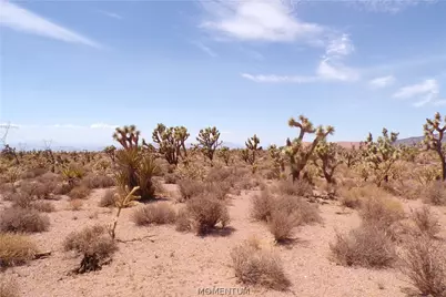 337-19-006 White Hills, White Hills, AZ 86445 - Photo 19