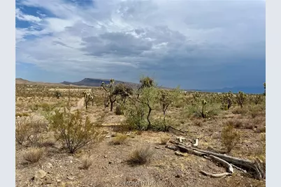 319-08-429 Kingman Drive, Dolan Springs, AZ 86441 - Photo 19