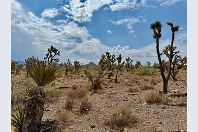 319-08-429 Kingman Drive, Dolan Springs, AZ 86441 - Photo 13
