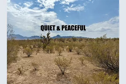 319-08-429 Kingman Drive, Dolan Springs, AZ 86441 - Photo 1