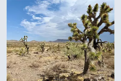 319-08-429 Kingman Drive, Dolan Springs, AZ 86441 - Photo 15