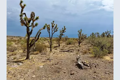319-08-429 Kingman Drive, Dolan Springs, AZ 86441 - Photo 11