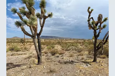 319-08-429 Kingman Drive, Dolan Springs, AZ 86441 - Photo 9