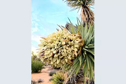 245-02-152B S Carrow Road, Yucca, AZ 86438 - Photo 13