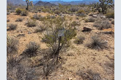 244-09-304 S Fox Drive, Yucca, AZ 86438 - Photo 3