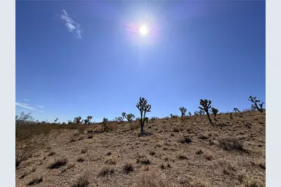 17612 N Katherine Drive, Dolan Springs, AZ 86441 - Photo 13