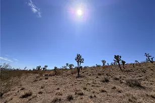 17612 N Katherine Dr, Dolan Springs, AZ 86441 - Photo 13