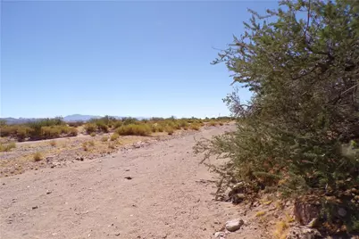 19196 N Quintana Road, White Hills, AZ 86445 - Photo 7