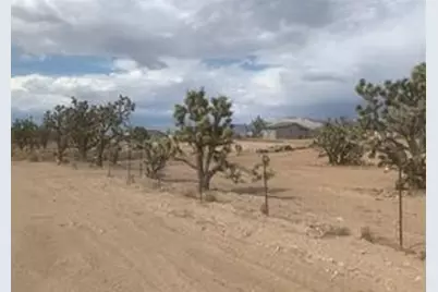 26726 N Sandy Point Drive, Meadview, AZ 86444 - Photo 5