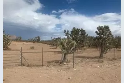 26726 N Sandy Point Drive, Meadview, AZ 86444 - Photo 3