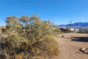 437 W Diamond Creek Dr, Meadview, AZ 86444 - Photo 33