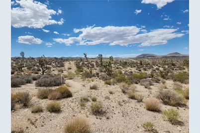 27445 N Driftwood Drive, Meadview, AZ 86444 - Photo 23
