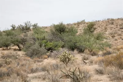 254-13-071 S Silver Springs Road, Kingman, AZ 86401 - Photo 5