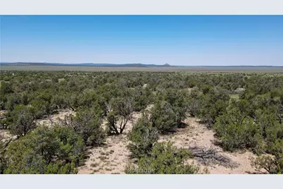 53555 N Markham Pass, Seligman, AZ 86337 - Photo 21